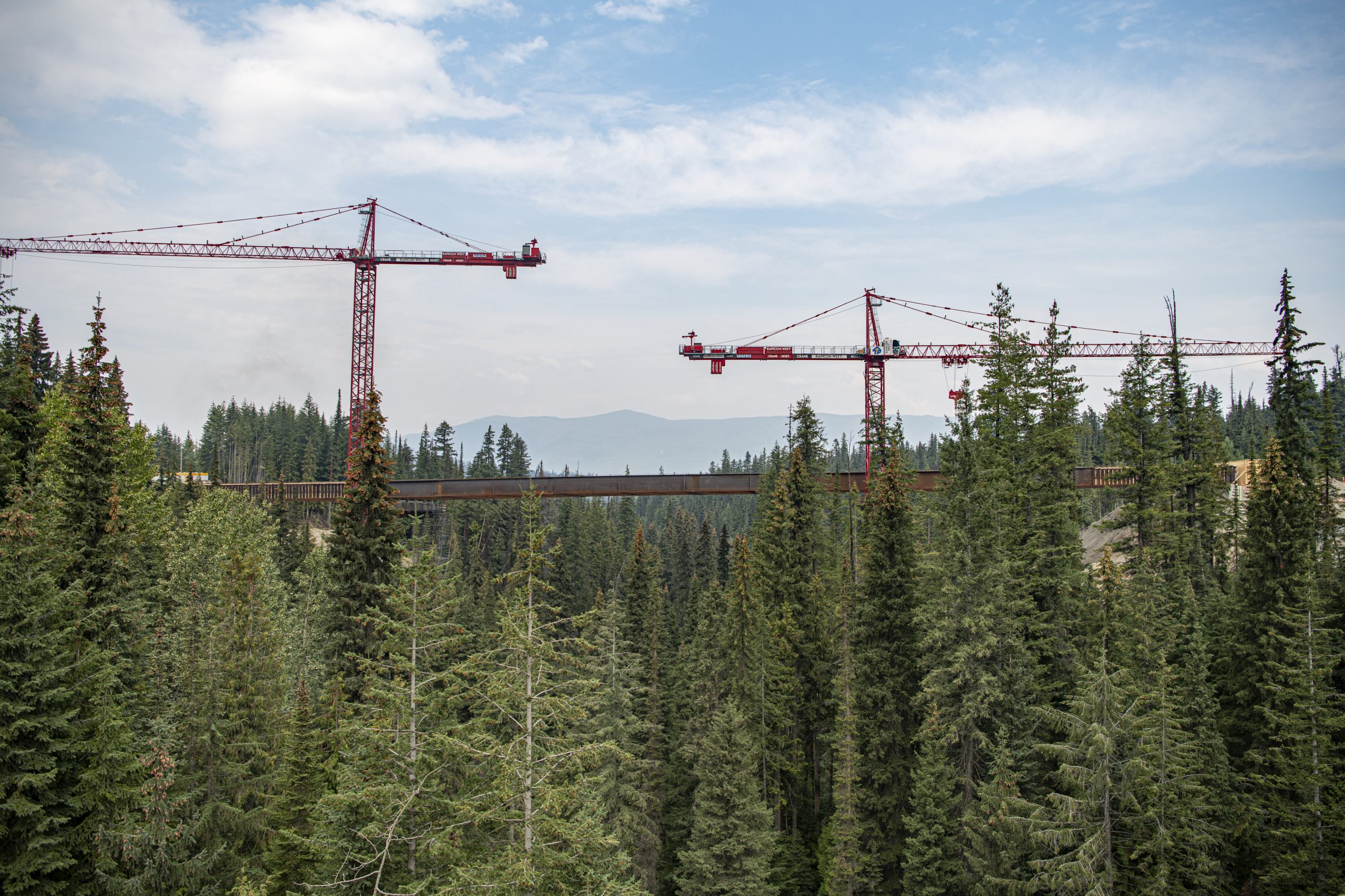 An image of the skyline with crane